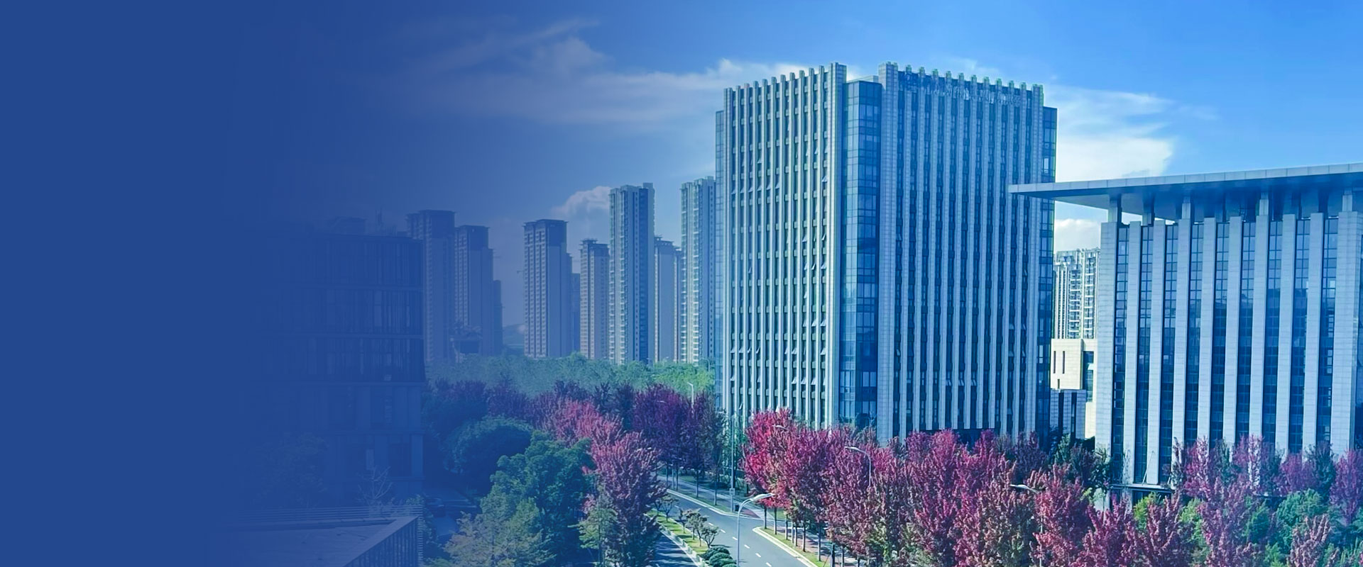 平台资源优势