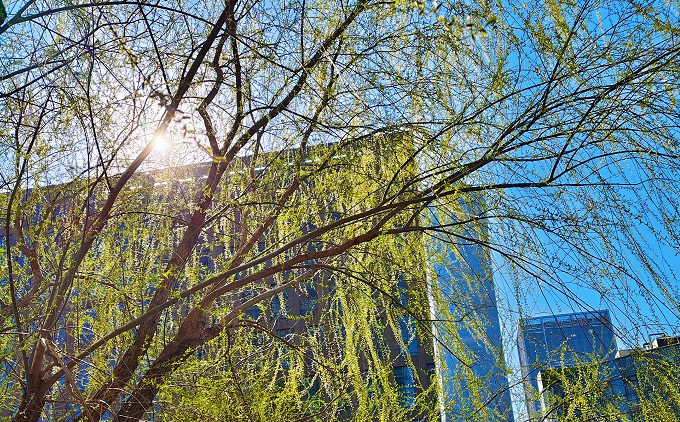 战略减法：外包思维助力中小企业破局增长