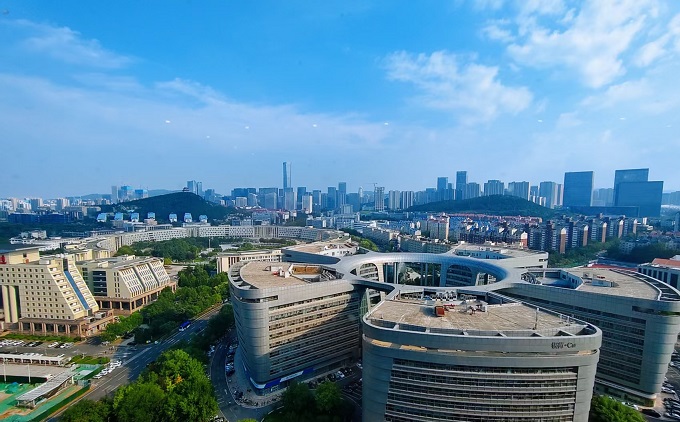 栽花与插柳：经营中的执念与天启