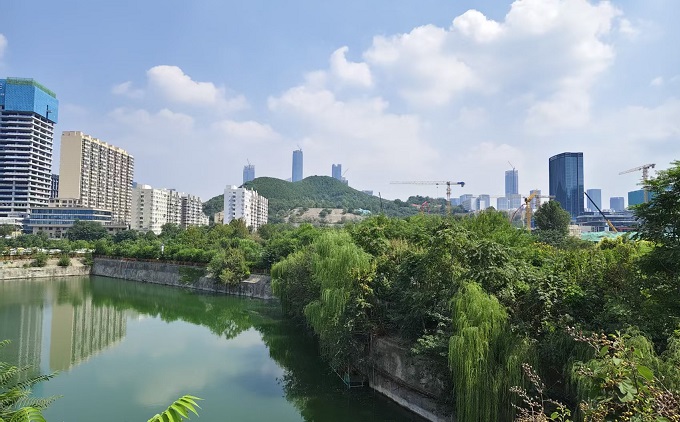 风口上的幻影：创业与投资中伪需求的识别与风险规避